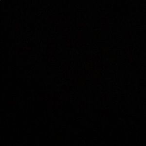 Meet your Posher, Dalya